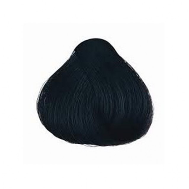 کیت رنگ مو شماره 2.1 نیچرتینت آبی سیاه ۶۰ میل