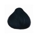 کیت رنگ مو شماره 2.1 نیچرتینت | آبی سیاه | ۶۰ میل