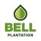 بل پلنتیشن | Bell Plantation