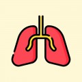 سیستم تنفسی و ریه