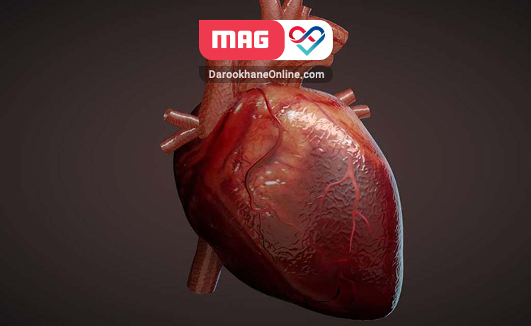 داروهای مسدود کننده کانال کلسیم، داروهایی مناسب برای درمان بیماری قلبی