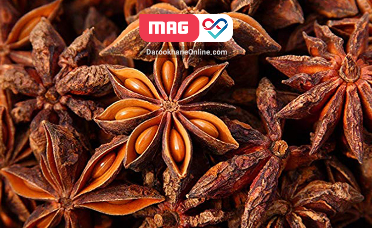 انیسون ستاره ای چیست و چه خواصی بر سلامتی دارد؟ انیسون ستاره ای چیست و چه خواصی بر سلامتی دارد؟