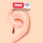 کدام ویتامین برای تقویت شنوایی موثر است؟