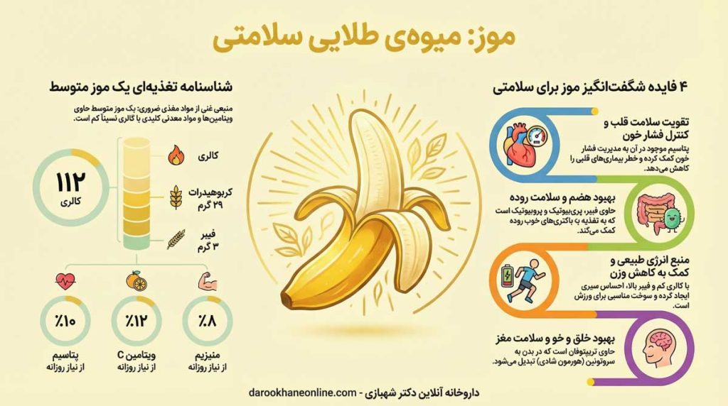 همه چیز درباره خاصیت موز و نقش آن در سلامتی، انرژی و عملکرد روزانه اینفوگرافی خاصیت موز