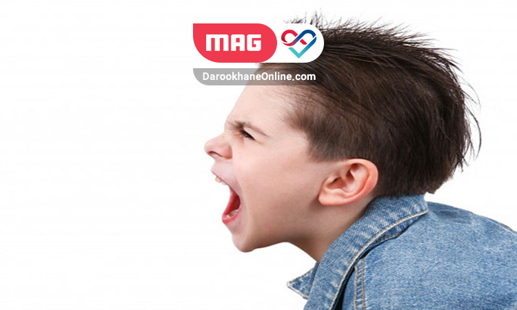 ریز پرخاشگری