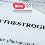 phytoestrogens 2