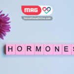hormone therapy 3