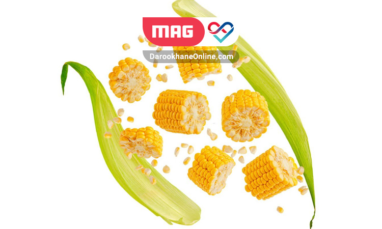 sweet corn 4