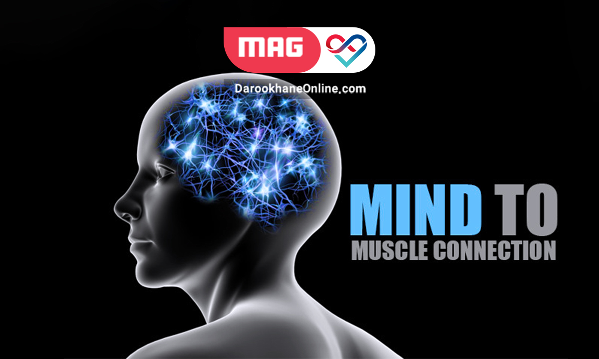 ارتباط بین ذهن وعضله