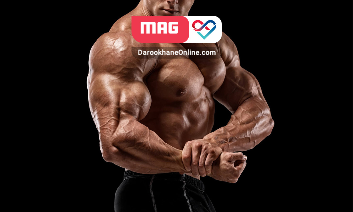 سینتول