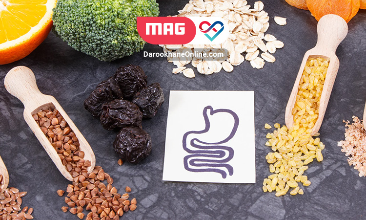 ۱۰ نکتهی مؤثر برای به حداکثر رساندن هضم و جذب پروتئین هضم و جذب پروتئین