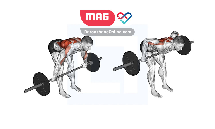 حرکات سرشانه بدنسازی