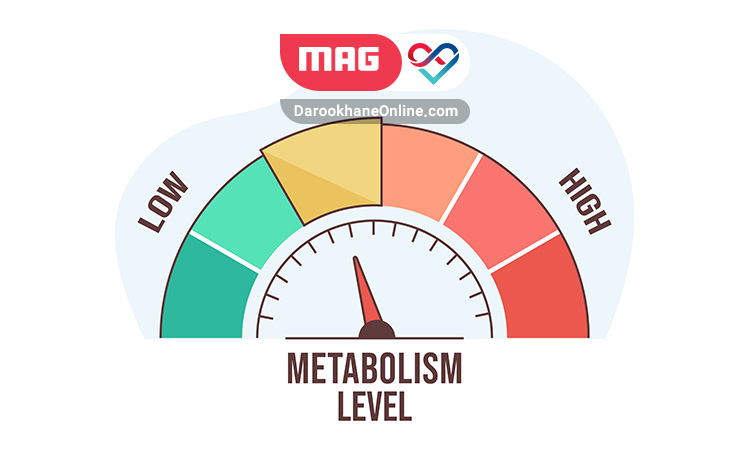 لاغری با افزایش متابولیسم چگونه امکانپذیر است؟ افزایش متابولیسم