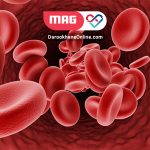 تالاسمی ماژور