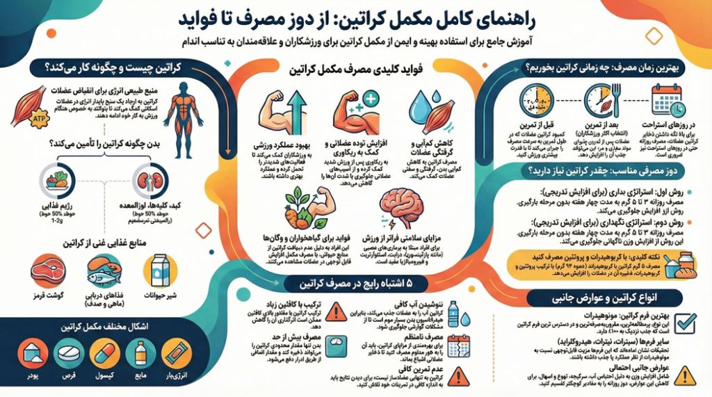 مصرف کراتین در بدنسازی؛ بهترین زمان برای نتیجه بهتر اینفوگرافی بهترین زمان مصرف کراتین