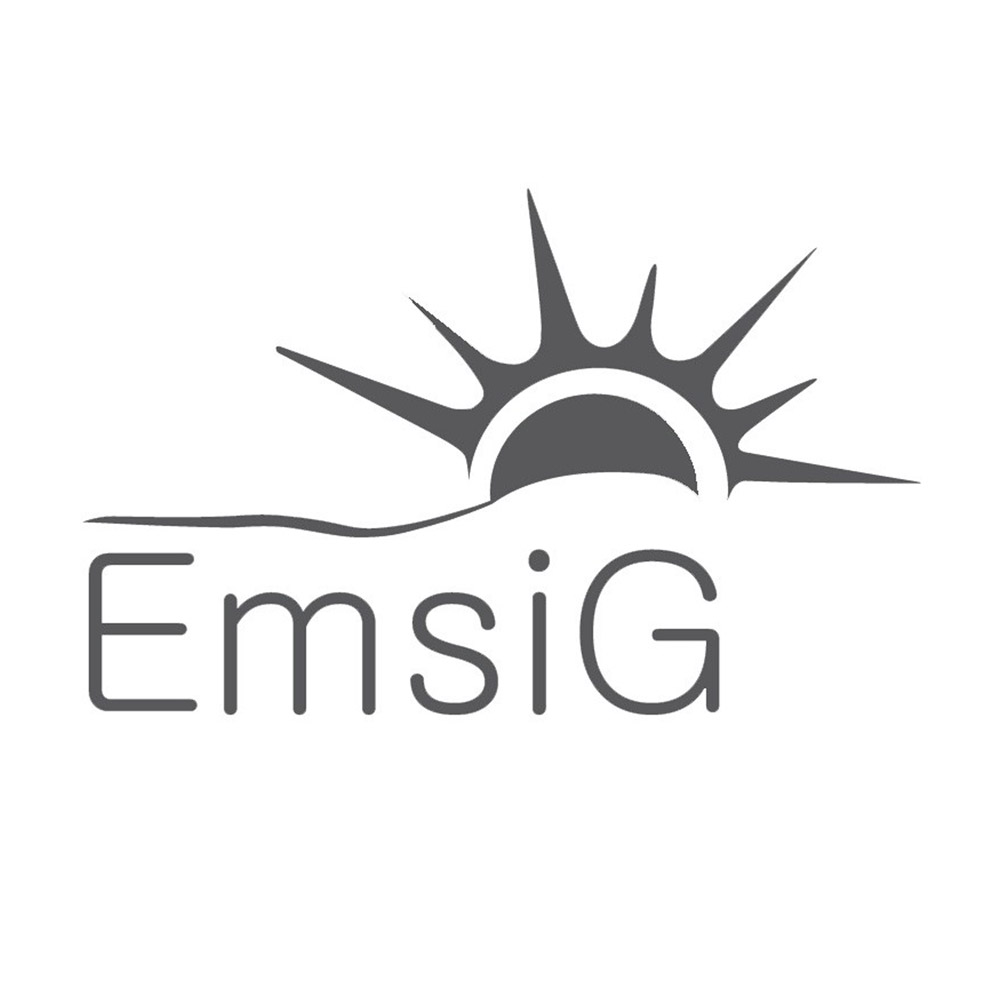 امسیگ | Emsig