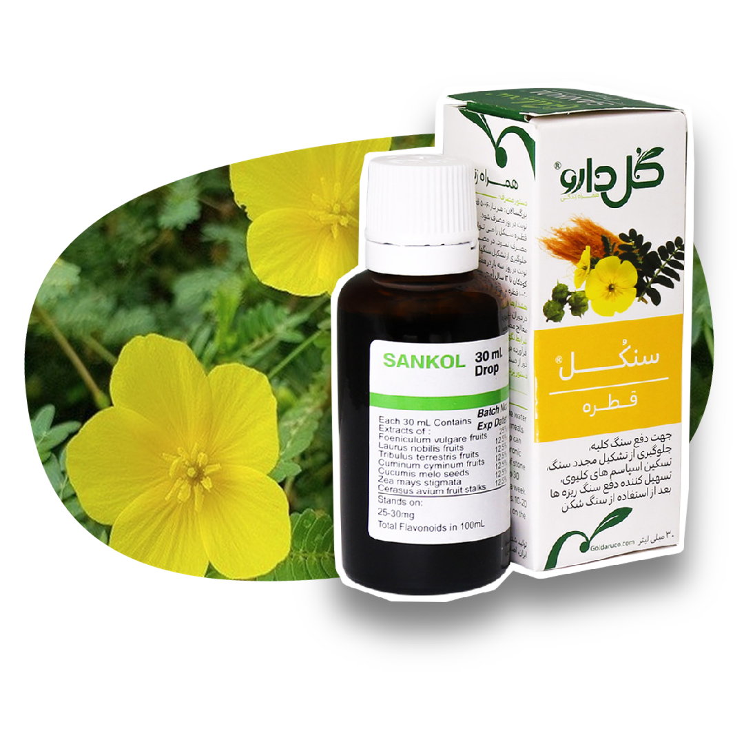 قطره سنکل گل دارو 30 میلی