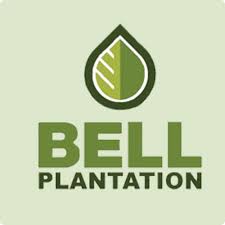 بل پلنتیشن | Bell Plantation
