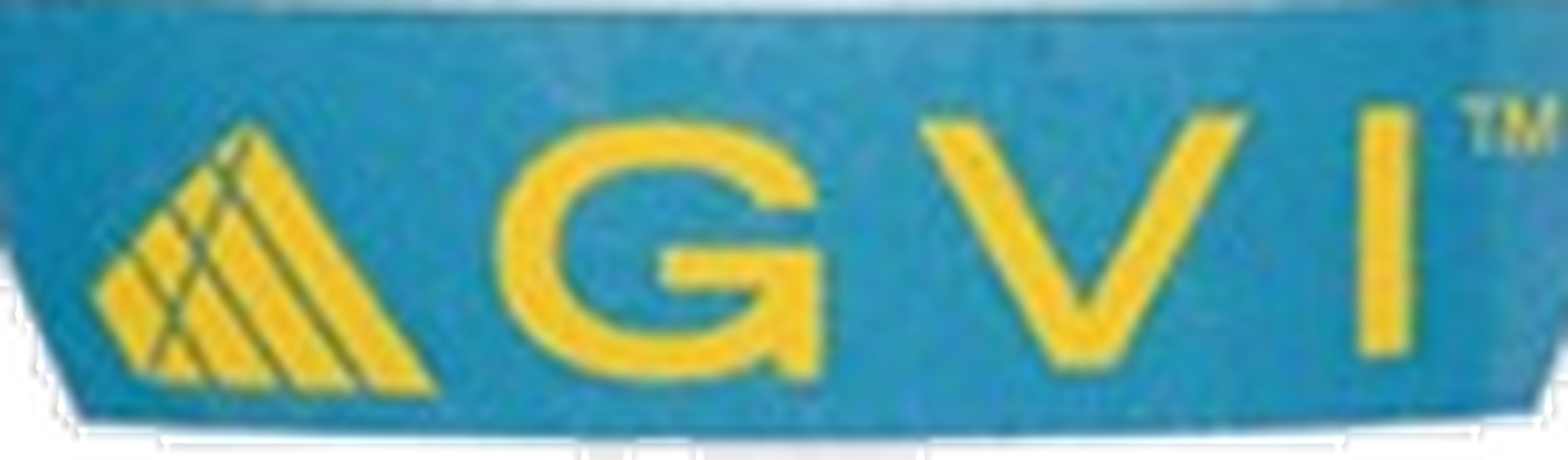 جی وی آی | GVI