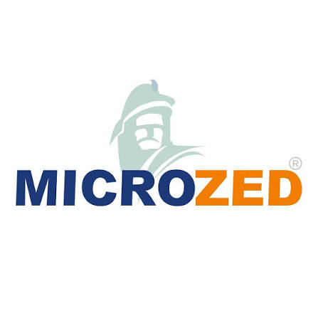 میکروزد | microzed
