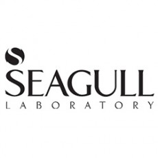 سی گل | Seagull
