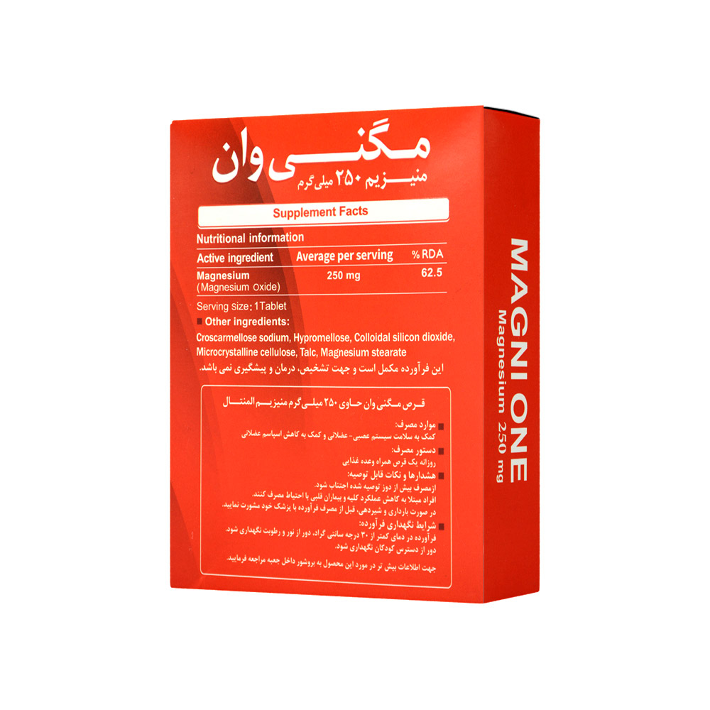 donya-darou-magni-one-30tabs-3.jpg قرص مگنی وان منیزیم 250 دنیا دارو - Image 4
