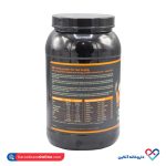 پودر پروتئین وی 100درصد آپوویتال 1000 گرمی - Image 2