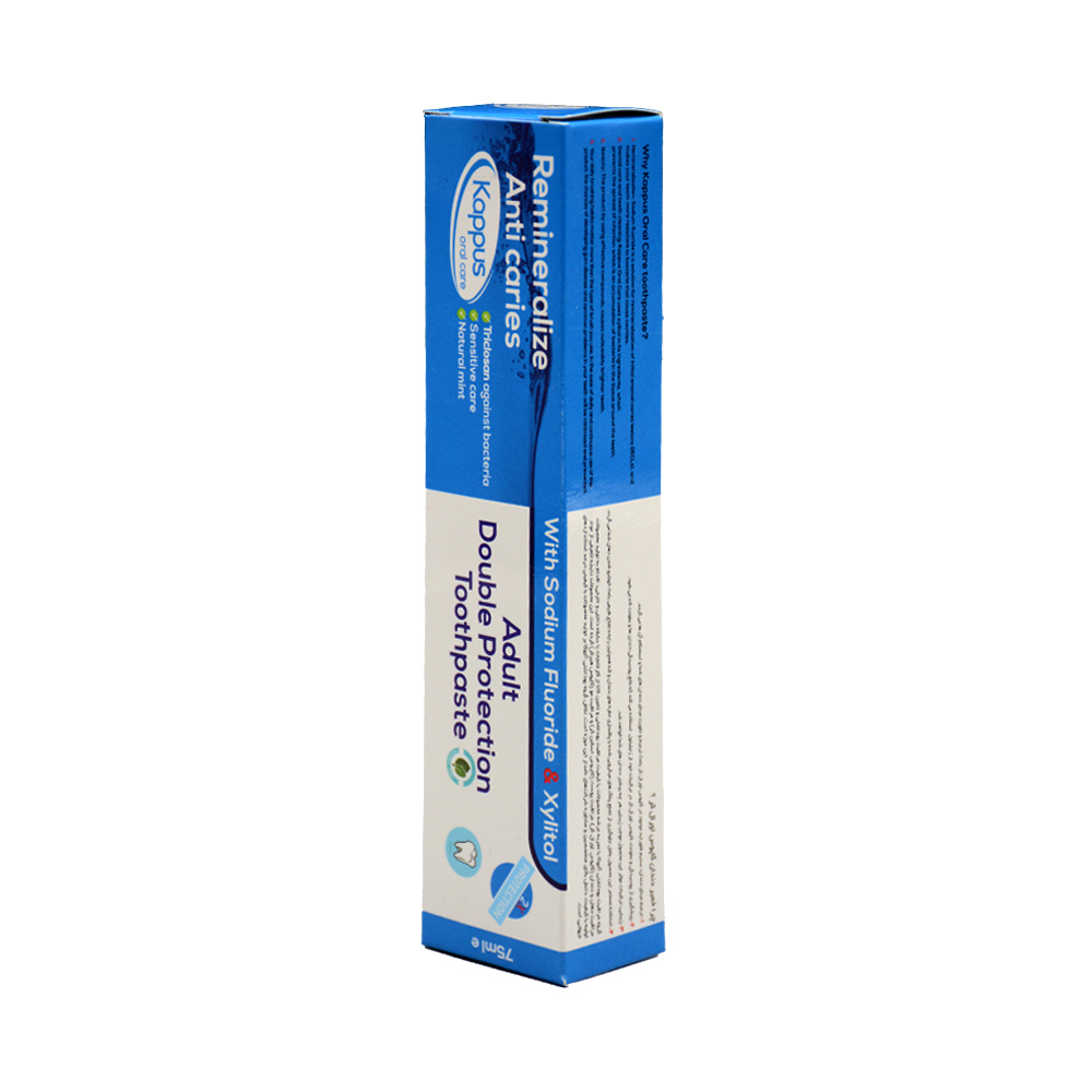 adult-double-protection-toothpaste-kappus-1.jpg خمیر دندان مراقبت دوگانه بزرگسال کاپوس ۷۵ میل - Image 1