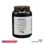 پودر پیور پروتئین کارن (PNC) 1000 گرمی - Image 2