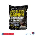 پودر پرو مس گینر فارماتک