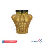 پودر گینر پرو کمپلکس رانتک 3 کیلوگرم